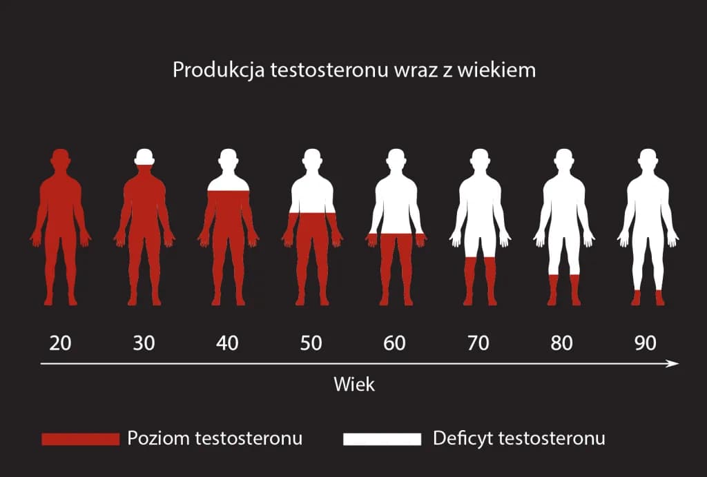 Niedobór testosteronu u mężczyzn objawy – nie ignoruj tych sygnałów