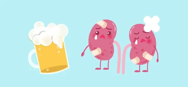 Czy alkohol niszczy nerki? Poznaj skutki i zagrożenia dla zdrowia