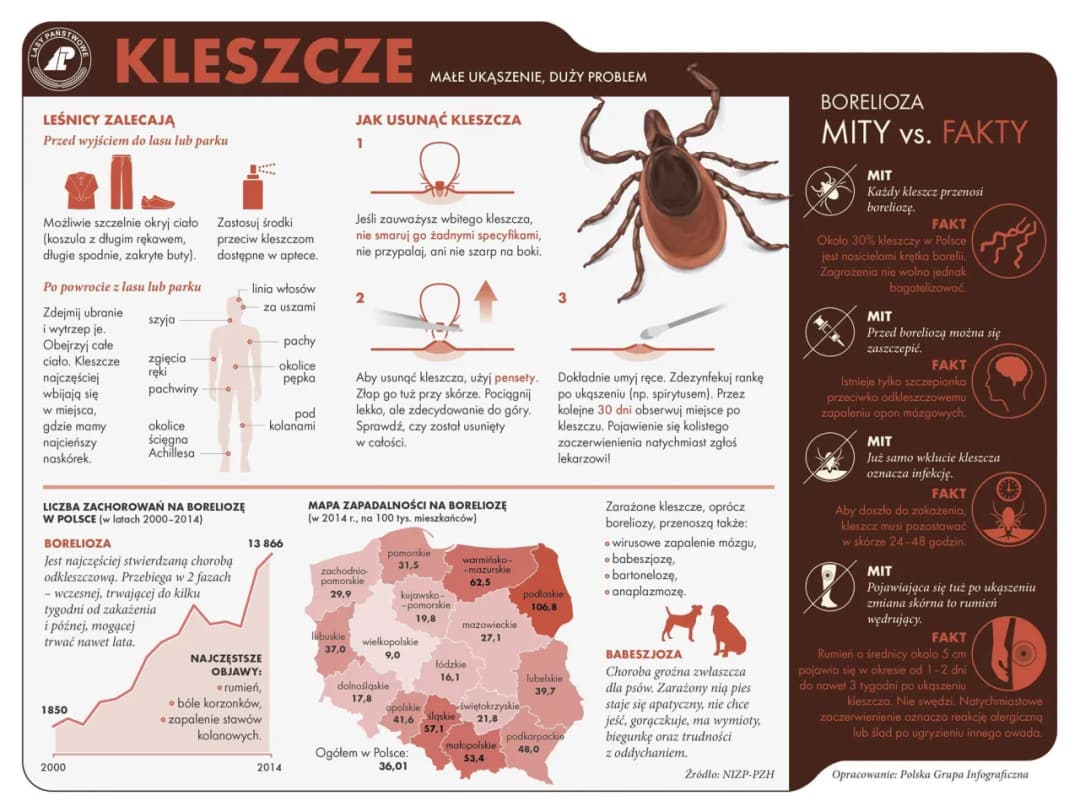 Czy borelioza jest zakaźna? Fakty, które musisz znać o tej chorobie