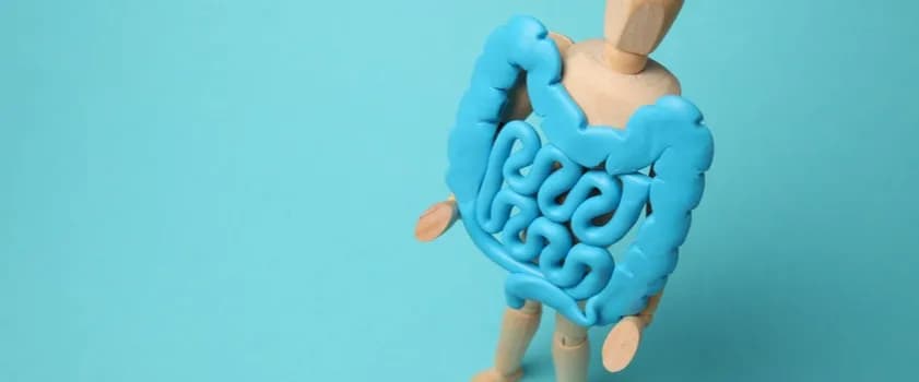 Nadmierne gazy przyczyny: co może powodować dyskomfort jelitowy?