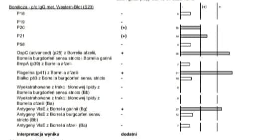 Jakie badania na boreliozę są skuteczne i jak interpretować wyniki?