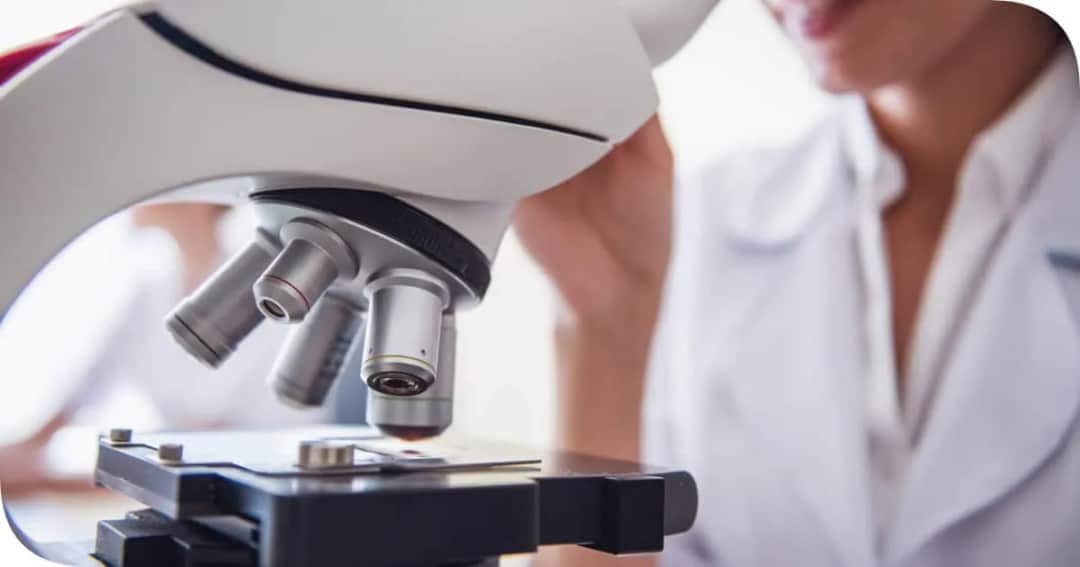 Badania histopatologiczne co to? Klucz do zrozumienia diagnozowania zmian chorobowych