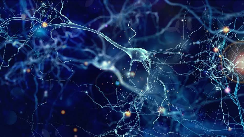 Jakie badania na SM są kluczowe? Diagnostyka stwardnienia rozsianego krok po kroku