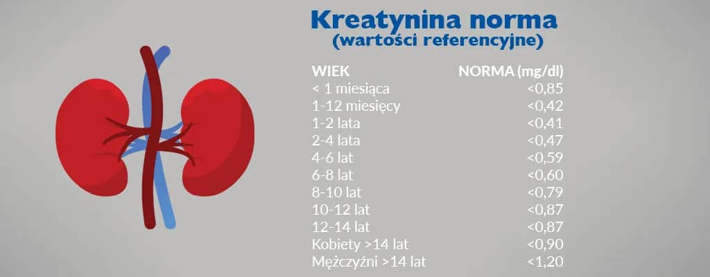 Ile się czeka na wynik badania kreatyniny i co warto wiedzieć?