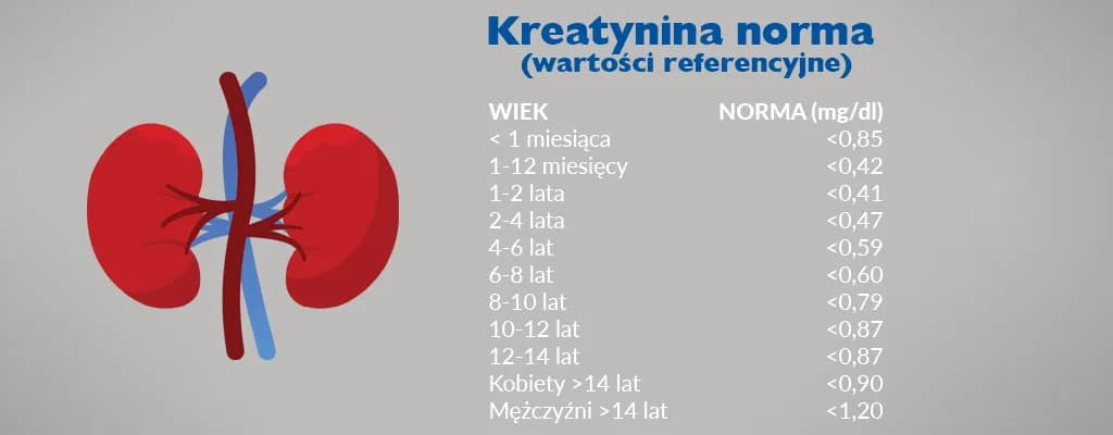Ile się czeka na wynik badania kreatyniny i co warto wiedzieć?