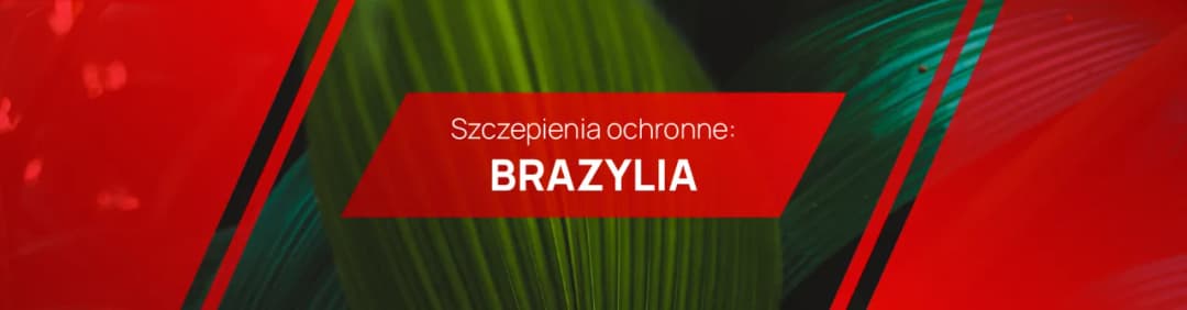 Choroby tropikalne Brazylii: co powinieneś wiedzieć przed podróżą