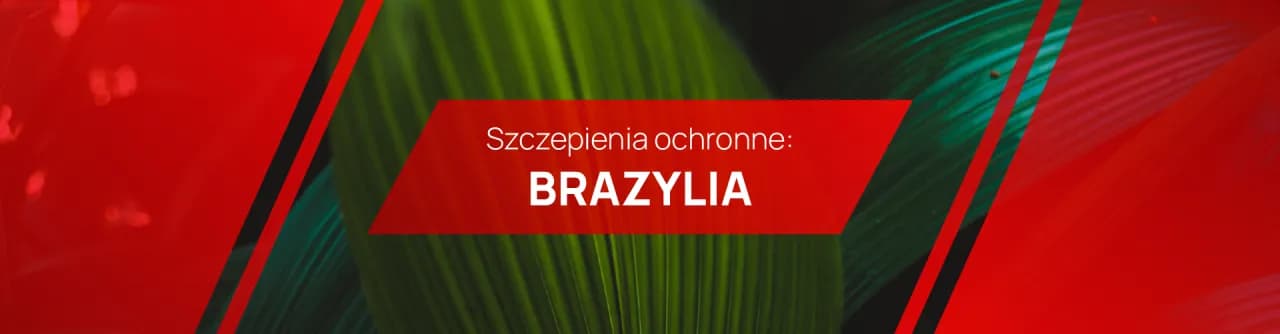 Choroby tropikalne Brazylii: co powinieneś wiedzieć przed podróżą